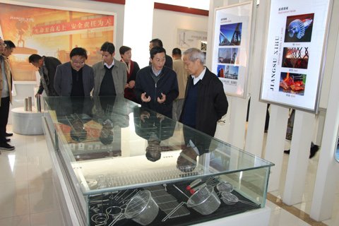 中國(guó)工程院院士王一德一行蒞臨我公司參觀指導(dǎo)工作